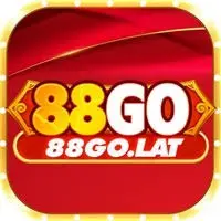88Go